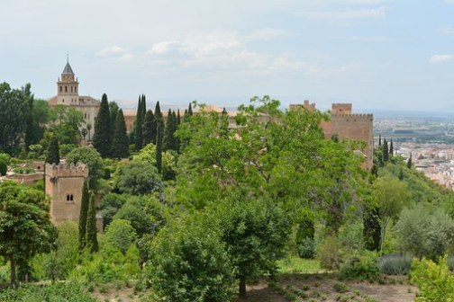 alhambra trees